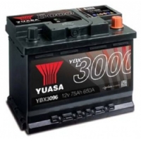 YBX3000 SMF-Batterien